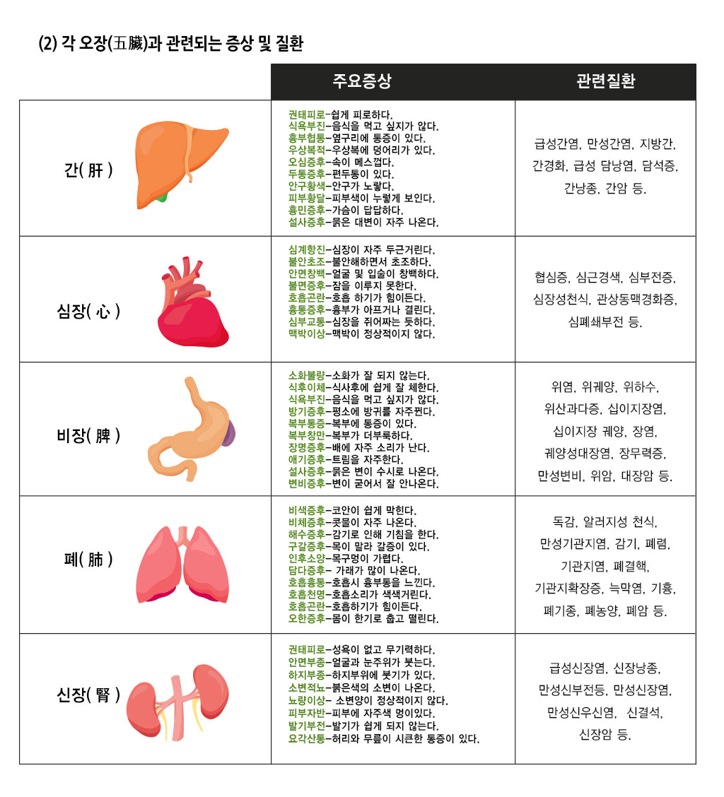 한국한의원, 한국한의원 오장 클리닉, 오장육부