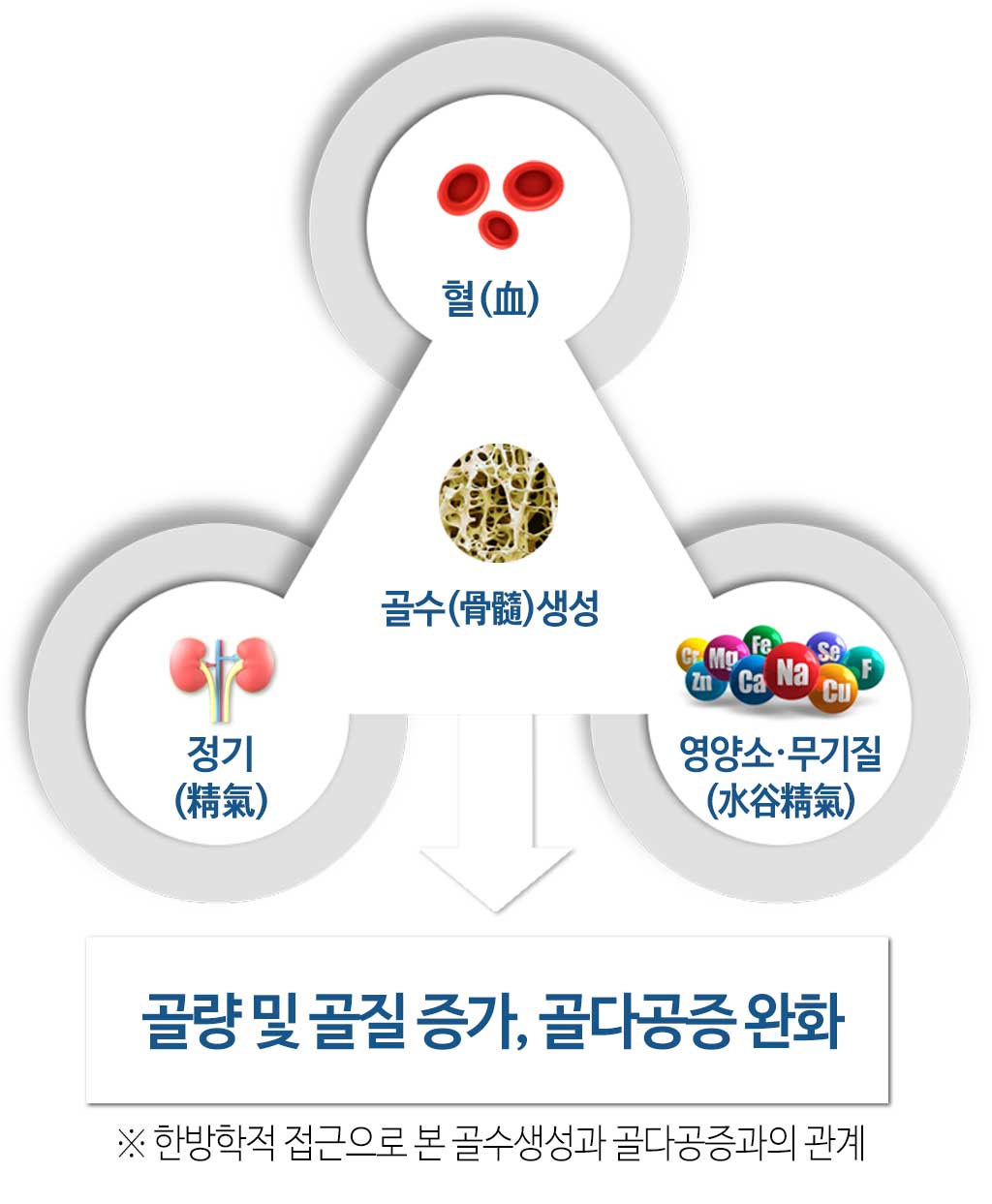 한국한의원, 한국한의원 골다공증 클리닉, 골다공증 클리닉