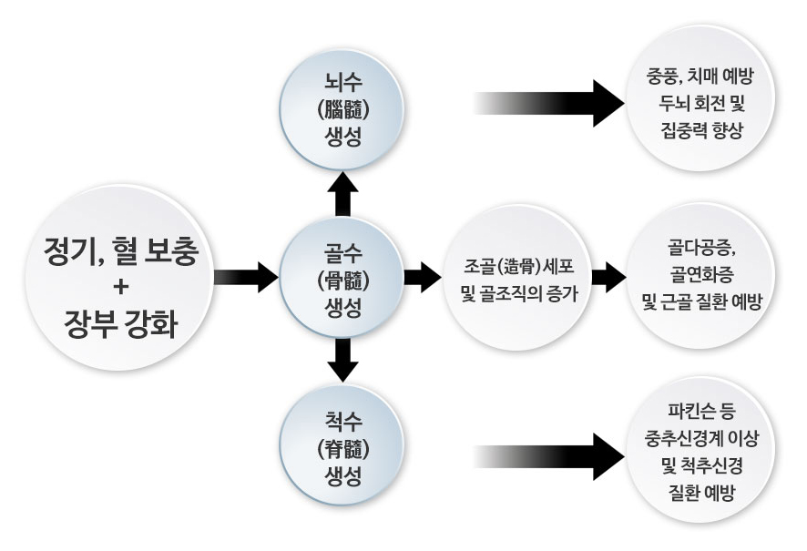 한국한의원, 한국한의원 골다공증 클리닉, 골다공증 치료의 핵심