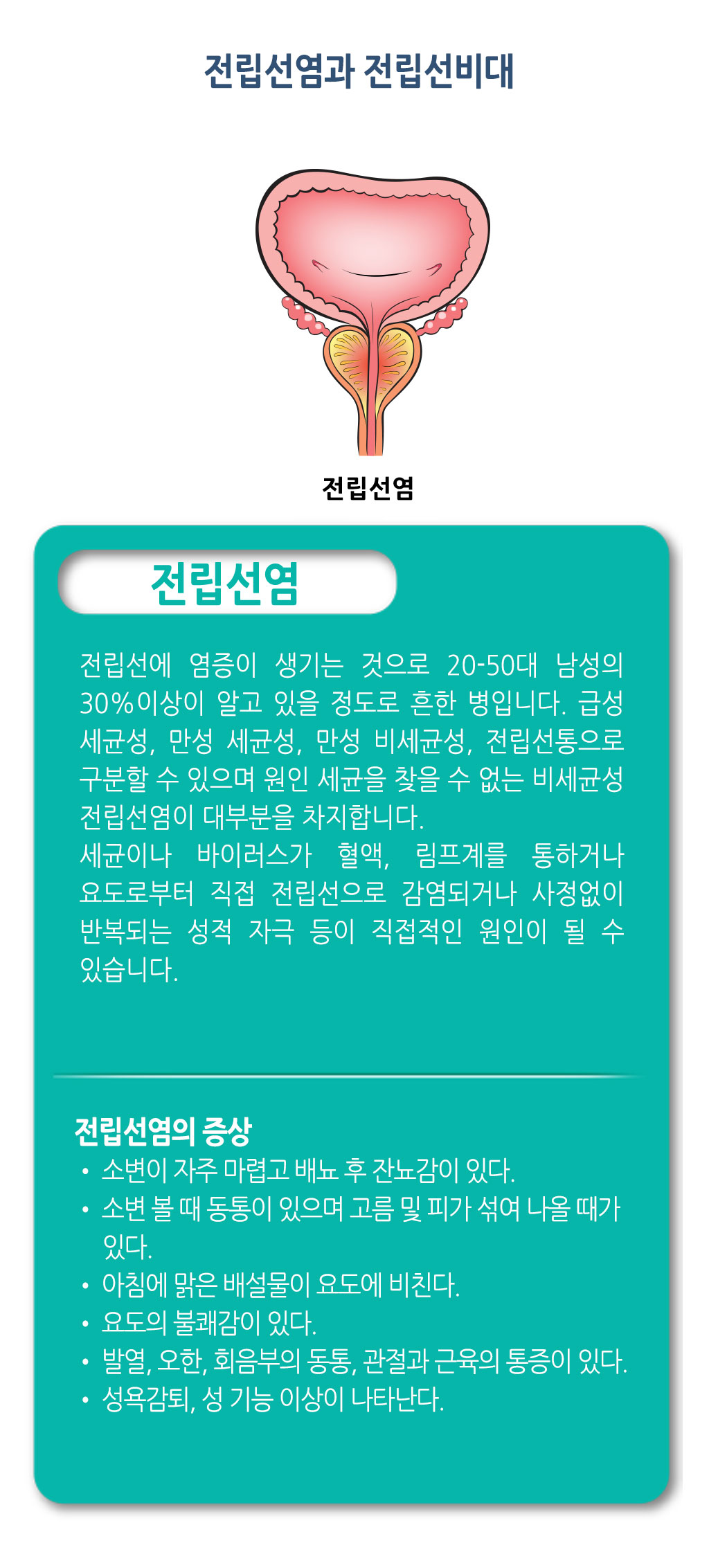 한국한의원, 한국한의원 전립선 클리닉, 전립선염, 전립선비대